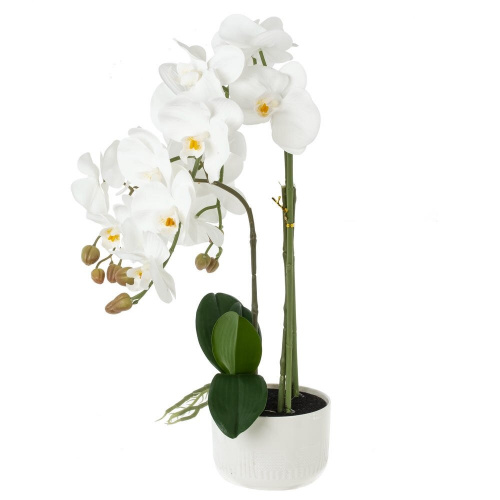 Цветочная композиция "Орхидея", L50 W36 H76 см фото 2