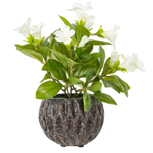 Цветочная композиция "Примула", L17 W17 H24 см Цветочная композиция "Примула", L17 W17 H24 см