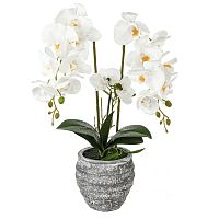 Цветочная композиция "Орхидея", L18 W18 H82 см Цветочная композиция "Орхидея", L18 W18 H82 см
