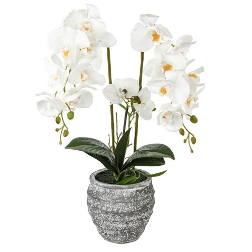 Цветочная композиция "Орхидея", L18 W18 H82 см Цветочная композиция "Орхидея", L18 W18 H82 см