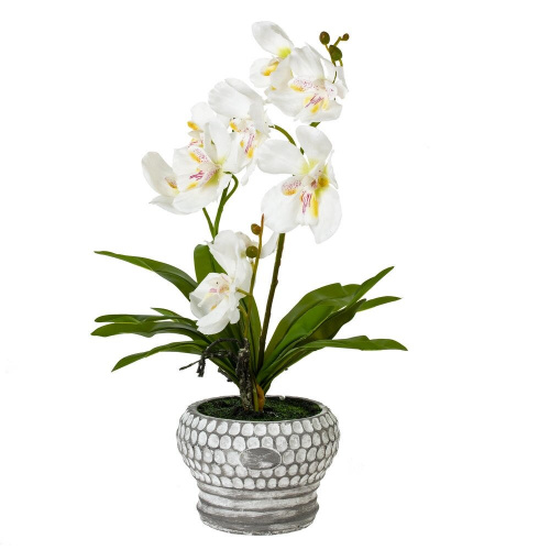 Цветочная композиция "Орхидея", L25 W23 H41 см