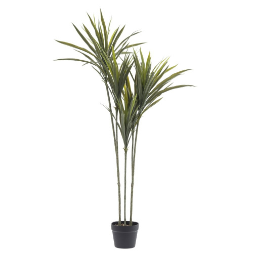 Цветочная композиция "Драцена", L75 W60 H133 см