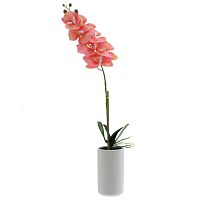 Цветочная композиция "Орхидея", L16 W10 H76 см