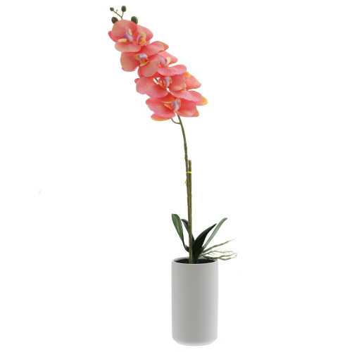 Цветочная композиция "Орхидея", L16 W10 H76 см