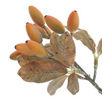 Ветка искусственная "Барбарис", L12 W12 H22 см Ветка искусственная "Барбарис", L12 W12 H22 см