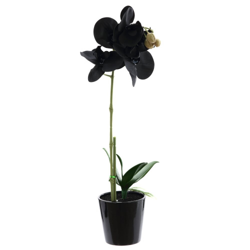 Цветочная композиция "Орхидея", L16 W20 H53 см