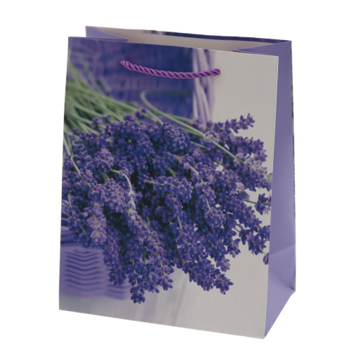 Пакет подарочный S (бумага 210г/м2, блок 12шт), L18 W10 H23 см, 4в. фото 5