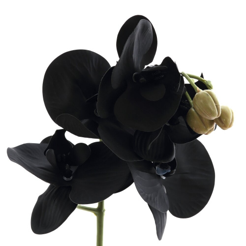 Цветочная композиция "Орхидея", L16 W20 H53 см фото 2