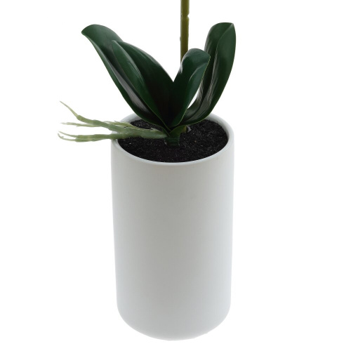 Цветочная композиция "Орхидея", L16 W10 H76 см фото 4