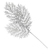 Изделие декоративное "Ветка", L2 W1 H78 см Изделие декоративное "Ветка", L2 W1 H78 см