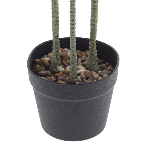 Цветочная композиция "Драцена", L75 W60 H133 см фото 3