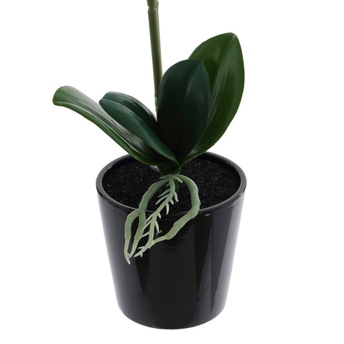 Цветочная композиция "Орхидея", L16 W20 H53 см фото 3