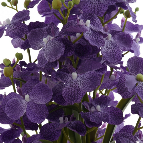 Цветочная композиция "Орхидея", L38 W38 H128 см, 2в. фото 9