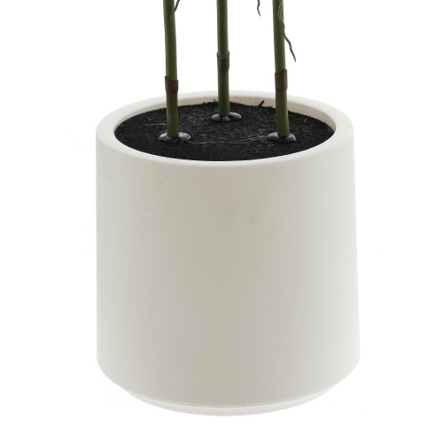 Цветочная композиция "Орхидея", L38 W38 H128 см, 2в. фото 7