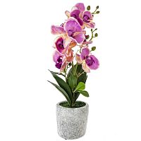 Цветочная композиция "Орхидея", L16 W16 H45 см