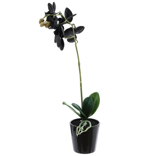 Цветочная композиция "Орхидея", L16 W20 H53 см фото 4