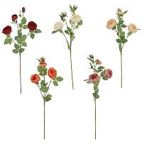 Цветок искусственный "Ранункулюс", L21 W11 H71 см, 5в. Цветок искусственный "Ранункулюс", L21 W11 H71 см, 5в.