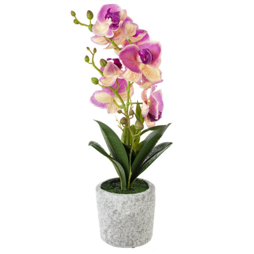 Цветочная композиция "Орхидея", L16 W16 H45 см фото 4 Цветочная композиция "Орхидея", L16 W16 H45 см фото 4