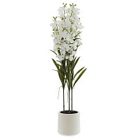 Цветочная композиция "Орхидея", L32 W32 H128 см
