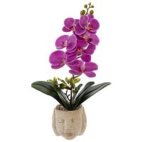 Цветочная композиция "Орхидея", L16,5 W14 H46,5 см