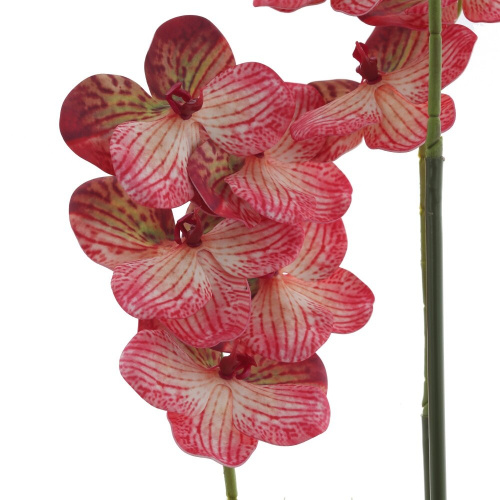 Цветочная композиция "Орхидея", L20 W20 H118 см фото 2