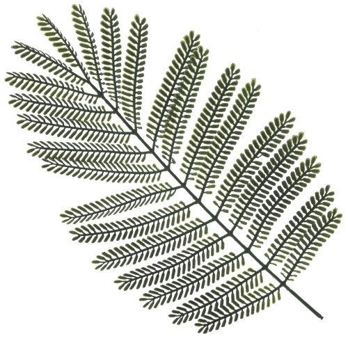 Цветочная композиция "Пальма", L75 W55 H120 см фото 4