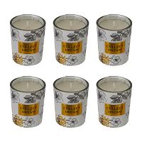 Набор из 6-ти свечей ароматических, L19 W15 H5 см