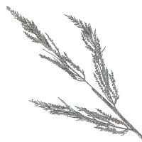 Изделие декоративное "Ветка", L15 W0,5 H53 см Изделие декоративное "Ветка", L15 W0,5 H53 см