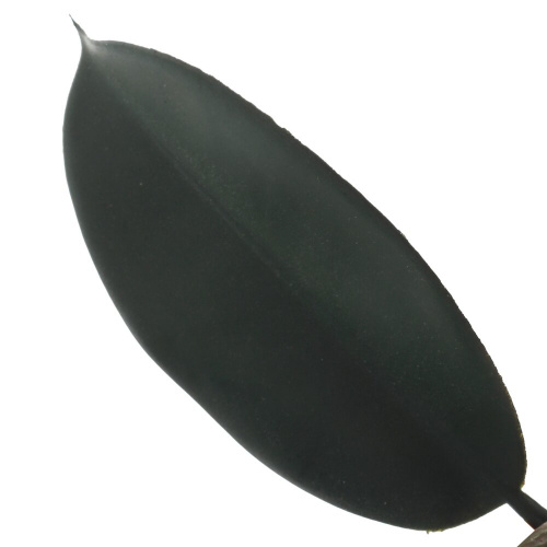 Цветочная композиция "Фикус", L50 W50 H137 см фото 3