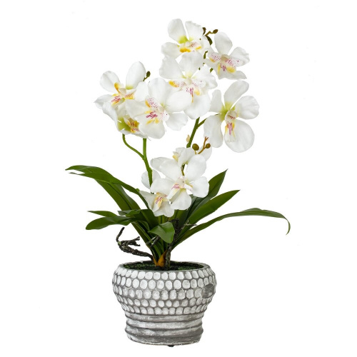 Цветочная композиция "Орхидея", L25 W23 H41 см фото 4
