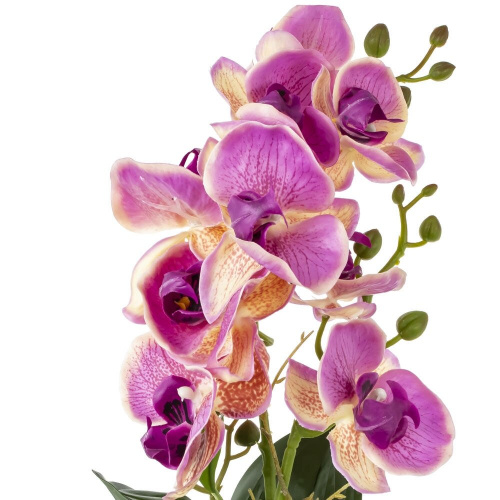 Цветочная композиция "Орхидея", L16 W16 H45 см фото 5 Цветочная композиция "Орхидея", L16 W16 H45 см фото 5