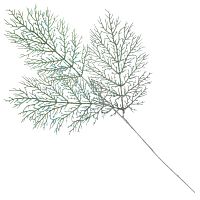 Изделие декоративное "Ветка", L20 W2 H76 см Изделие декоративное "Ветка", L20 W2 H76 см