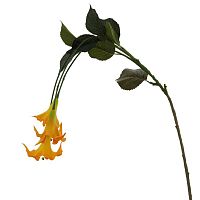 Цветок искусственный "Колокольчик" (Real Touch), L48 W38 H90 см