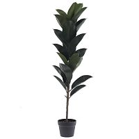 Цветочная композиция "Фикус", L35 W35 H111 см