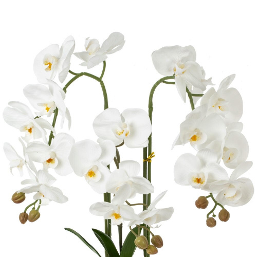 Цветочная композиция "Орхидея", L50 W36 H76 см фото 4