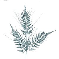 Ветка, L40 W10 H95 см Ветка, L40 W10 H95 см