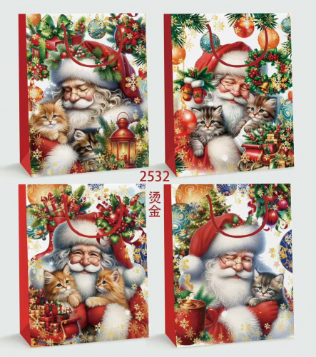 Пакет подарочный (бумага 210г/м2, блок 12шт), L26 W10 H32 см, 4в.