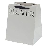 Пакет подарочный S (бумага 250г/м2, блок 10шт), L22 W19 H27 см