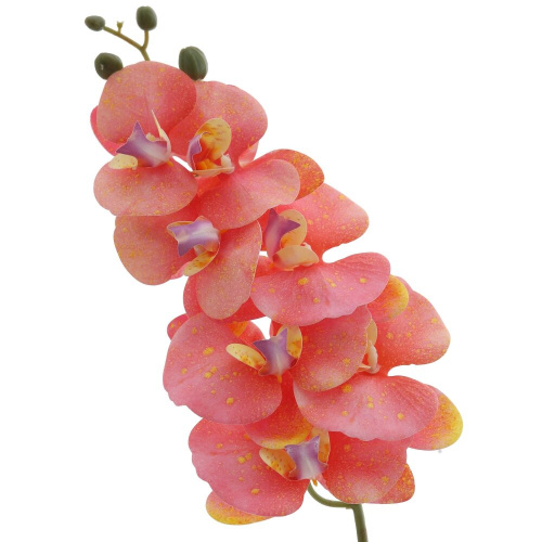 Цветочная композиция "Орхидея", L16 W10 H76 см фото 3