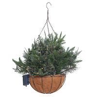 Кашпо хвойное с подсветкой, 50 LEDламп, 173в., (3хАА не прилаг.)