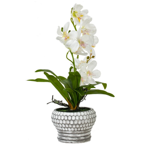 Цветочная композиция "Орхидея", L25 W23 H41 см фото 3