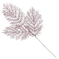 Изделие декоративное "Ветка", L19 W1 H78 см Изделие декоративное "Ветка", L19 W1 H78 см