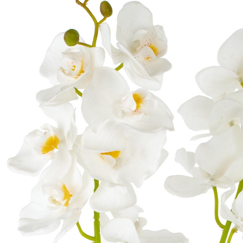 Цветочная композиция "Орхидея", L18 W18 H82 см фото 5 Цветочная композиция "Орхидея", L18 W18 H82 см фото 5