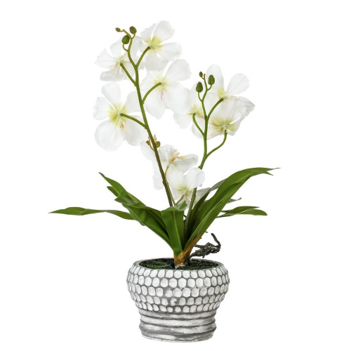 Цветочная композиция "Орхидея", L25 W23 H41 см фото 2