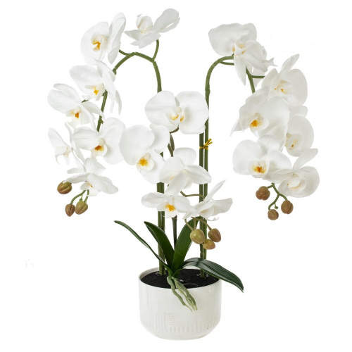 Цветочная композиция "Орхидея", L50 W36 H76 см