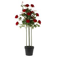Цветочная композиция "Роза", L27 W27 H105 см