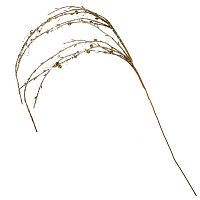 Изделие декоративное "Ветка", L11 W2,5 H109 см Изделие декоративное "Ветка", L11 W2,5 H109 см