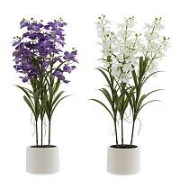 Цветочная композиция "Орхидея", L38 W38 H128 см, 2в.