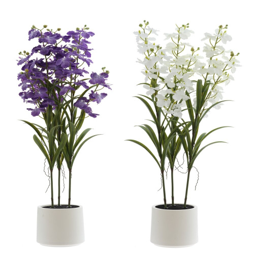 Цветочная композиция "Орхидея", L38 W38 H128 см, 2в.