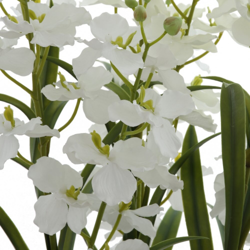 Цветочная композиция "Орхидея", L38 W38 H128 см, 2в. фото 8